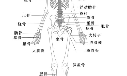 婴儿一次大便多少正常吗网—知名的婴儿大便一次特别多网站,分享婴儿拉几次正常知识